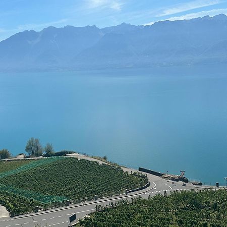Room With 360° View Overlooking Lake Geneva And Alps Puidoux Exterior foto