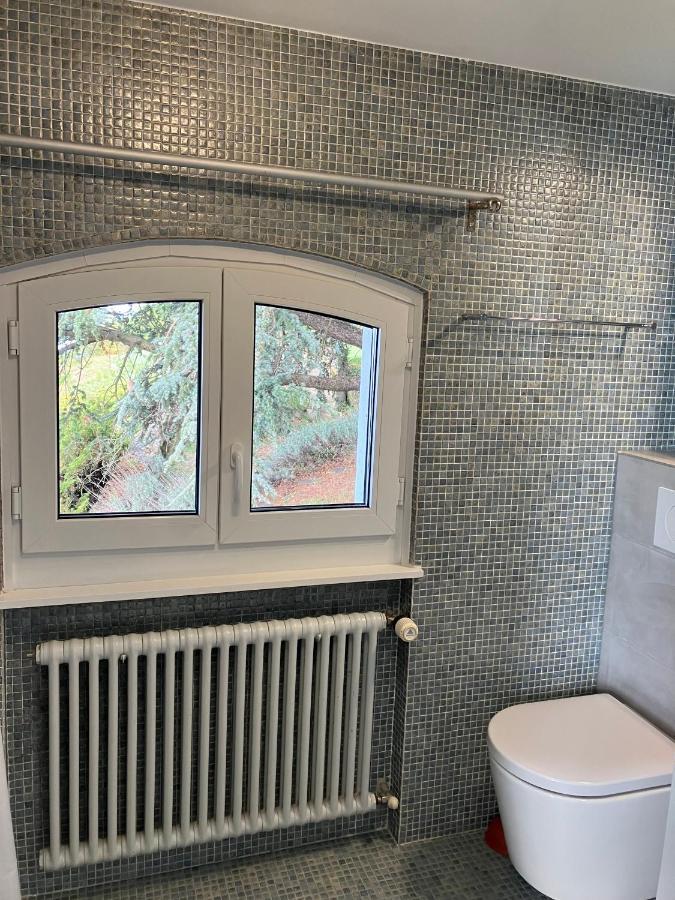 Room With 360° View Overlooking Lake Geneva And Alps Puidoux Exterior foto